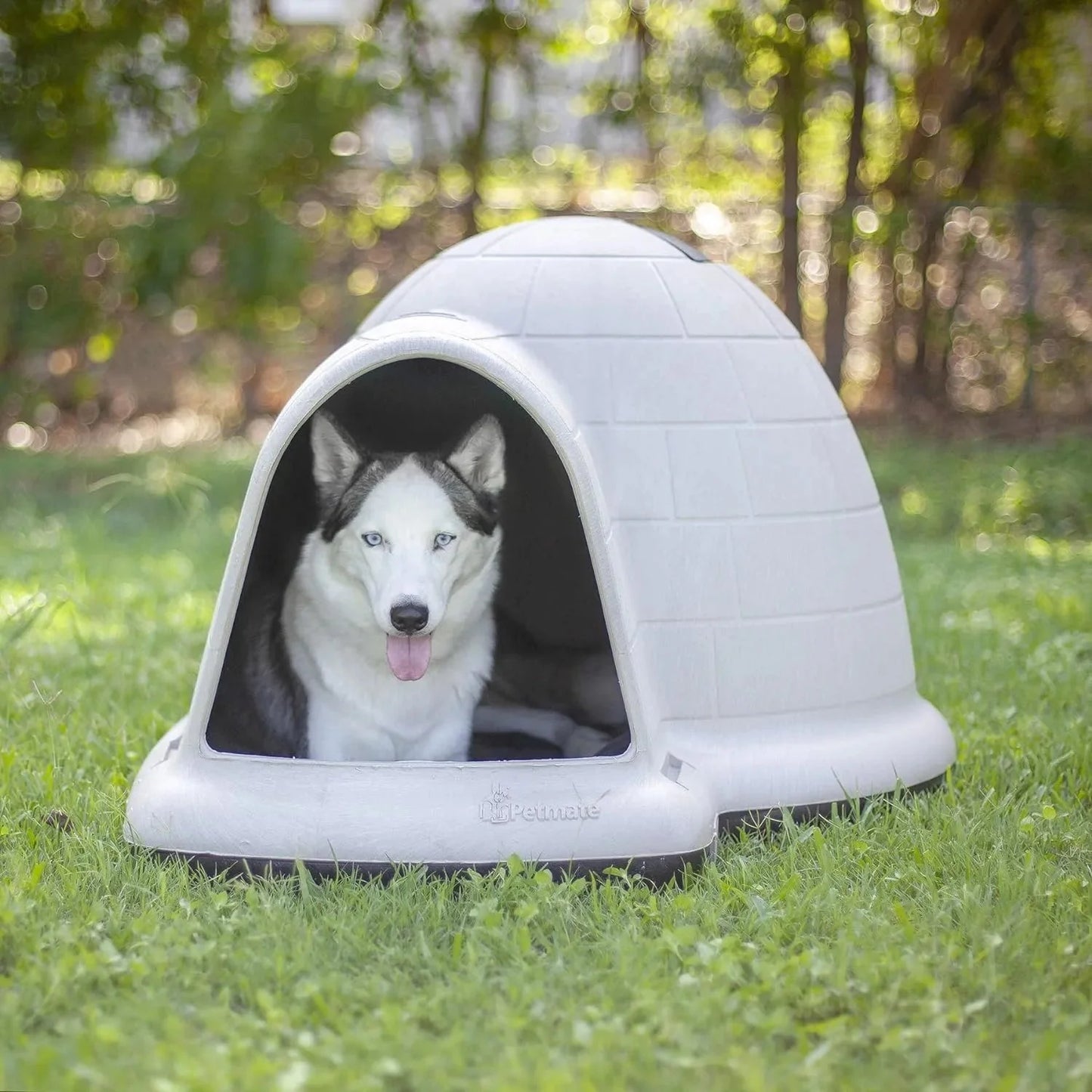 Petmate Indigo Dog House (Igloo Dog House, Made in USA with 90% Recycled Materials, All Weather Protection Pet Shelter) for XL Dogs 90 to 125 pounds, Made in USA