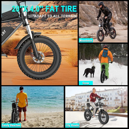 Electric Bike for Adults Ridstar, 1200W 30mph Moutain Bike,48V 15.6AH Battery E-Bike,20" Fat Tire Electric Motorcycle,Electric Bicycle 7 Speed Full Suspension