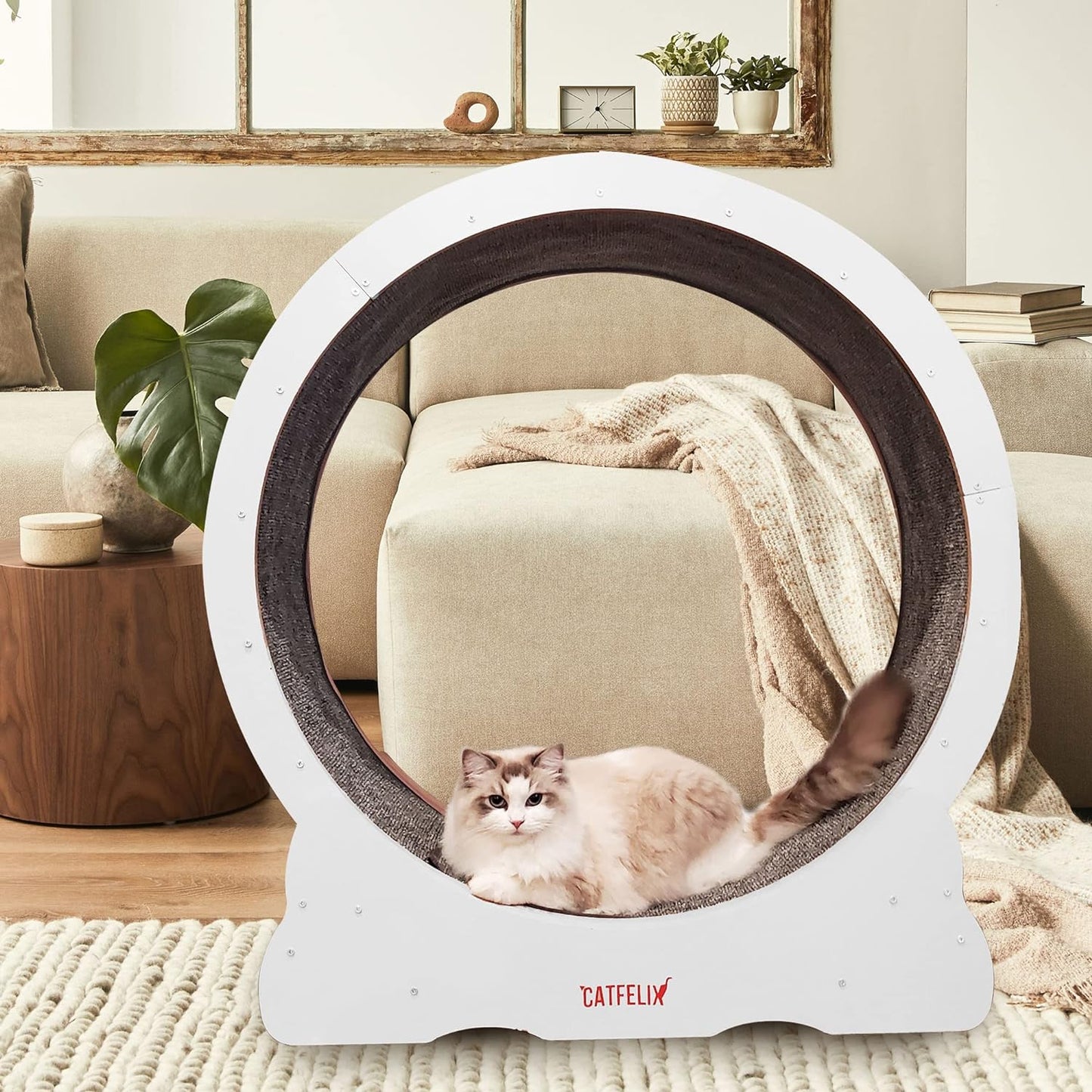 Cat Felix,Cat Wheel, Cat Exercise Wheel for Indoor, Easy Assembled Cat Treadmill for Fitness and Healthy, Cats Loss Weight Device (Pink) (White)