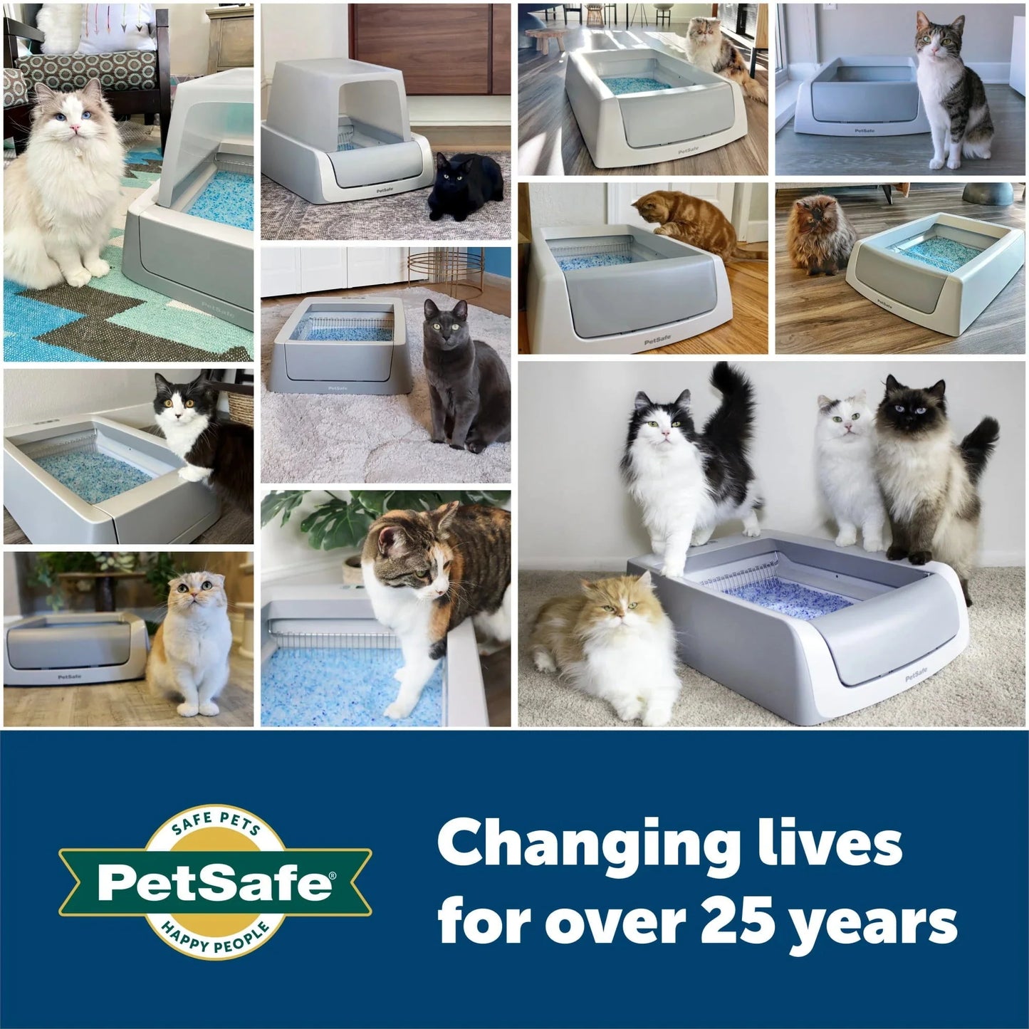PetSafe ScoopFree Complete Replacement Blue Crystal Litter Tray 6-Pack Easy Cleanup with Disposable Tray Includes Leak Protection and Low Tracking Litter