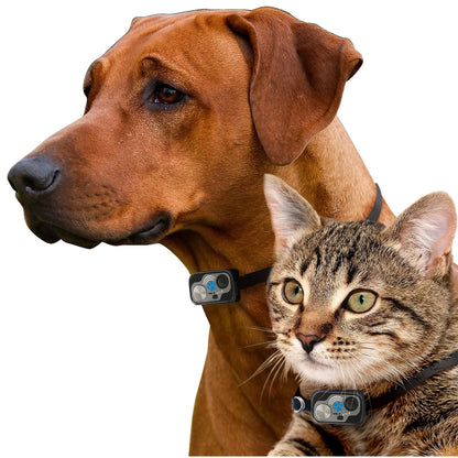 Power Pet Large Electronic Pet Door PX-2