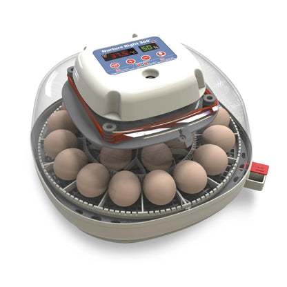 HARRIS FARMS Nurture Right Egg Incubator for Hatching Chickens
