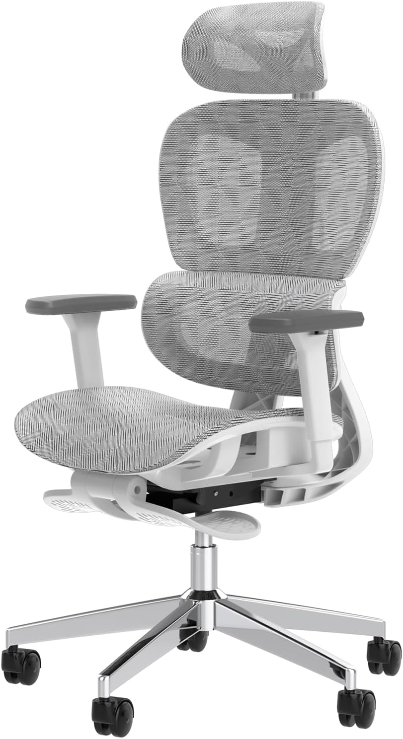 Ergo3D Ergonomic Office Chair High Back Mesh Desk Chair with 3D Adjustable Armrests, Wheels, for Home and Office (Black)