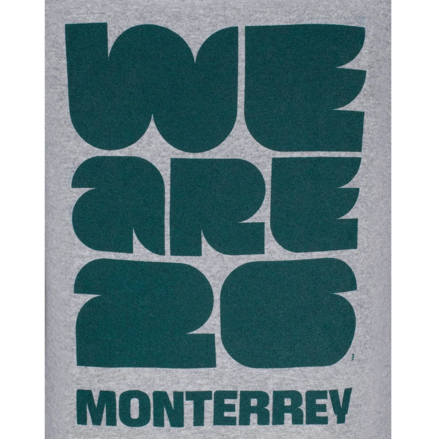 FIFA World Cup 2026™ Monterrey Grey Hoodie - Unisex