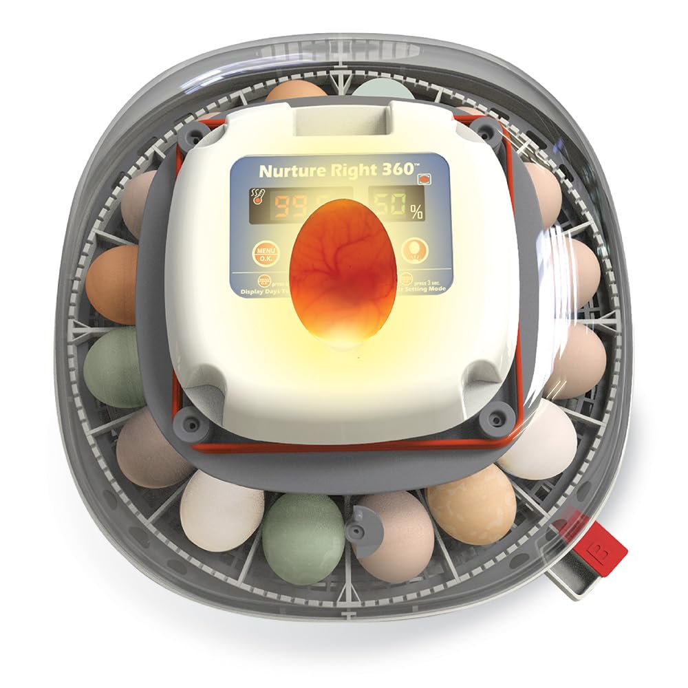 HARRIS FARMS Nurture Right Egg Incubator for Hatching Chickens