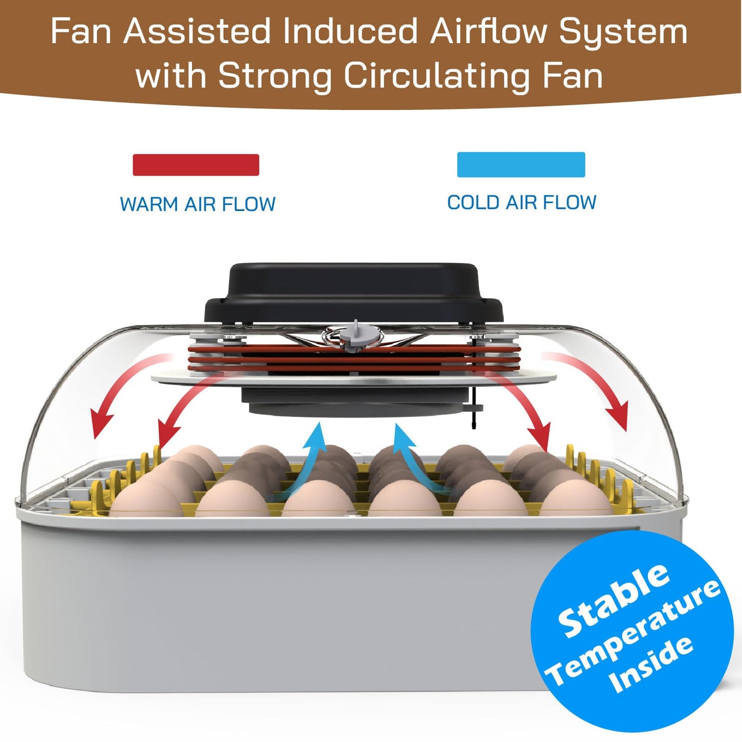 MATICOOPX MATICOOPX 30 Egg Incubator with Humidity Display