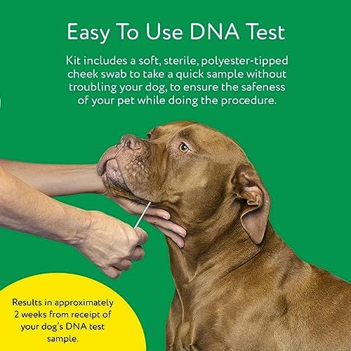 Dna My Dog Essential Test