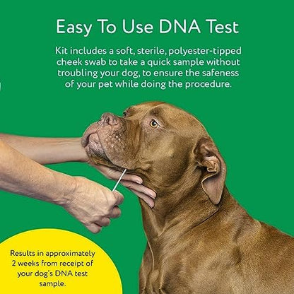 Dna My Dog Essential Test